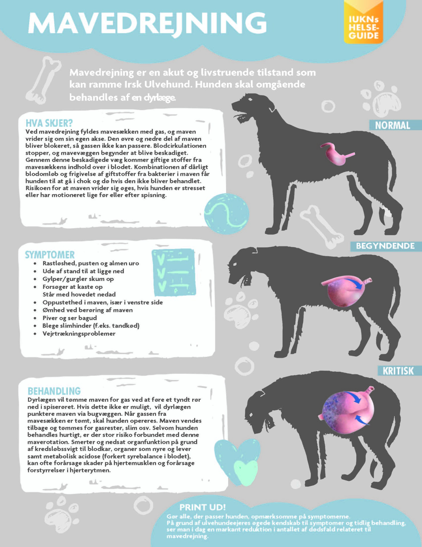 infografikk-magedreining-dansk infografikk magedreining dansk